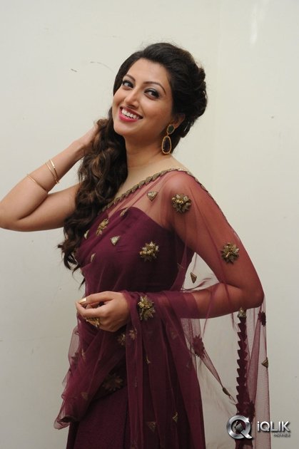 Hamsa-Nandini-at-Bengal-Tiger-Movie-Audio-Launch